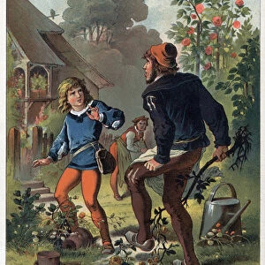 Bouton d or brought a rose of golden roses, but the gardener, believing in the devil
