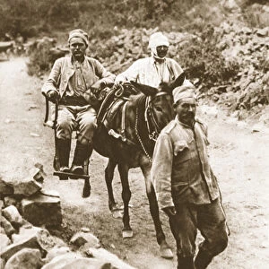 Bringing down wounded Serbians from a mountain battle: a mule cacolet