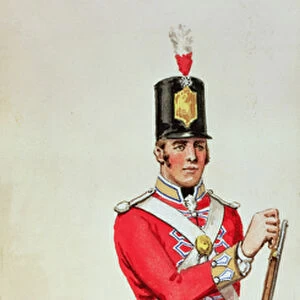 British soldier in Napoleonic times carrying a musket (w / c)