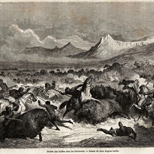 Buffalo hunting among the Delawares, Amerindians living on the banks of the river of