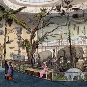 Bullocks Museum, 22 Piccadilly, London, from Ackermanns Repository of Arts