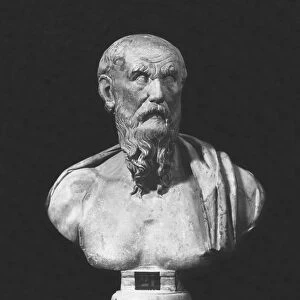 Bust of Diogenes (marble)