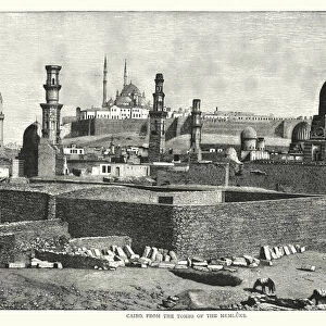 Cairo, from the tombs of the Memluks (engraving)