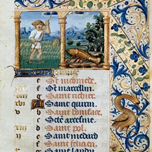 Calendar, June, a peasant mowing and the sign of cancer. 16th century (miniature)