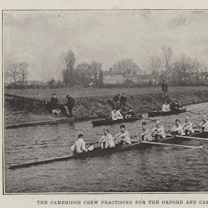 The Cambridge Crew practising for the Oxford and Cambridge Boat-Race (b / w photo)