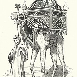Camel with the Mahmal (engraving)