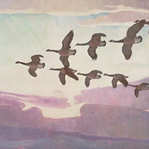 Canada Geese in Spring, 1941 (oil on canvas)