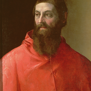 Cardinal Rudolfo Pio, Bishop of Faenza (c. 1500-64), 1528