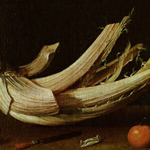 Cardoon, oranges and knife (oil on canvas)
