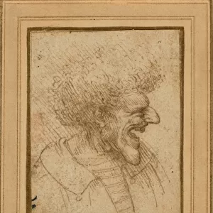 Caricature of a Man with Bushy Hair, c. 1495 (pen and brown ink)