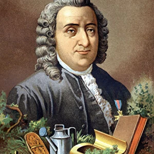 Carl Von Linne Swedish naturalist and writer (1707 - 1778) after "