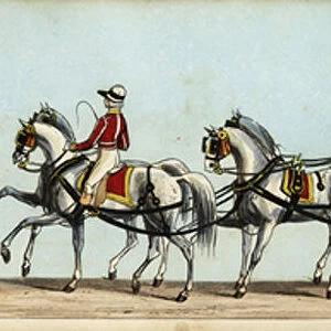 Carriage of Eugene Francois Charles Joseph Lamoral de Ligne d Amblise et d Epinoy, Prince of Ligne, representing Leopold I, King of Belgium, in Queen Victorias coronation parade