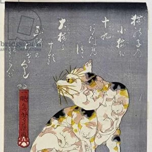 Cat composition, Japanese print by Yoshifugi