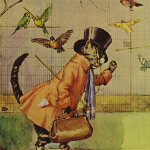 Cat setting off for the city (colour litho)