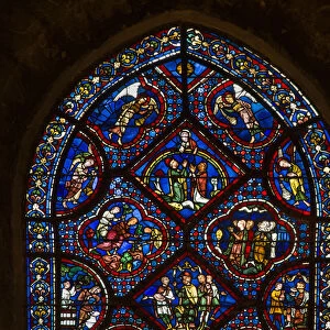 Cathedral of chartres, stained glass: life of noe, high detail