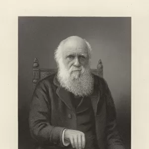 Charles R. Darwin (engraving)