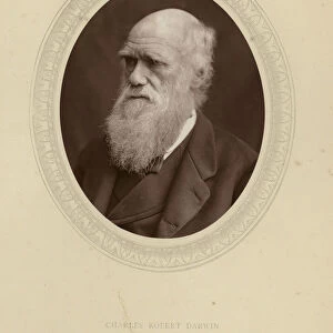 Charles Robert Darwin (b / w photo)