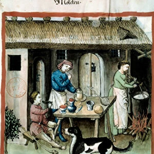 Cheese making. Illumination from the milking of medicine and dietetics "