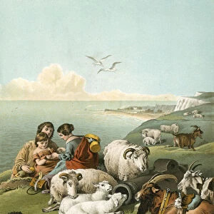 Children playing with sheep and goats on white cliffs(colour litho)