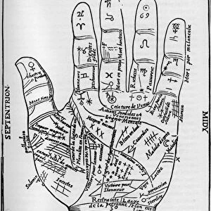 Chiromancy - PALMISTY CHART - Planetary and zodiacal diagram of the left hand - Woodcut