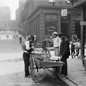Clam seller in Mulberry Bend, N. Y. c. 1900 (b / w photo)