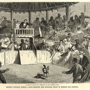 Cock-fighting, the national sport of modern San Domingo (engraving)