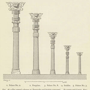 The several columns at Persepolis and Istakhr compared (engraving)