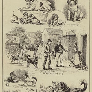 Cottesmore Puppies put to walk (engraving)