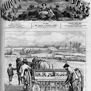 Country work: sowing barley in the Sarthe. A newspaper. Engraving in "