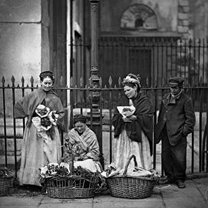 Covent Garden Flower Women, from Street Life in London, 1877-78 (woodburytype)