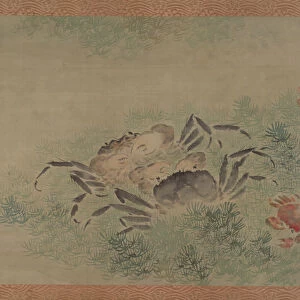 Crabs, 1851 (watercolour on silk)