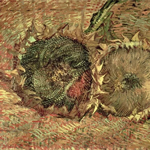 Two Cut Sunflowers, 1887 (oil on canvas)