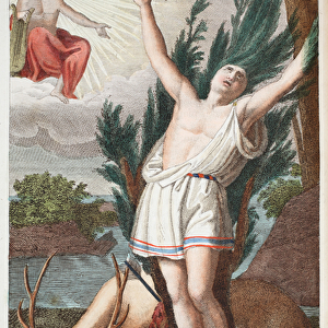 Cyparissus into a Tree or Ciparisso, Book X, illustration from Ovids Metamorphoses
