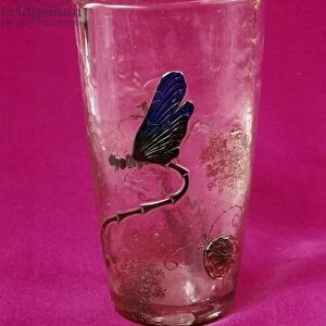 Decorative arts: vase decorating a dragonfly made by Emile Galle (1846-1904). 1887