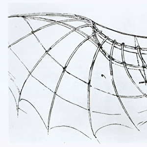 Diagram of a mechanical wing, manuscript B, 1488-89 (pen & ink on paper) (b / w photo)