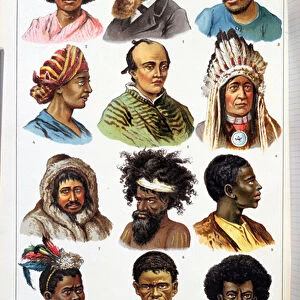 The Different Human Races, from Natural History of the Animal Kingdom