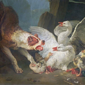 A Dog Attacking Geese, 1769 (oil on canvas)
