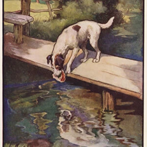 The Dog and the Shadow (colour litho)