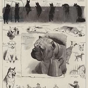 Dogs of All Nations at the Westminster Aquarium (litho)