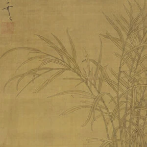 Two ducks among reeds at the waters edge, Ming or Qing dynasty