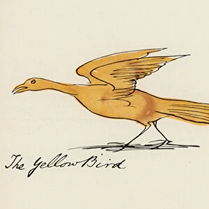 Edward Lear, The Bird Book: The Yellow Bird (colour litho)