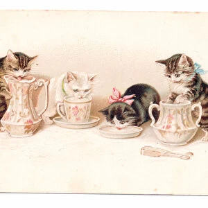 Edwardian postcard of four cats drinking milk from cups saucers and a jug, c