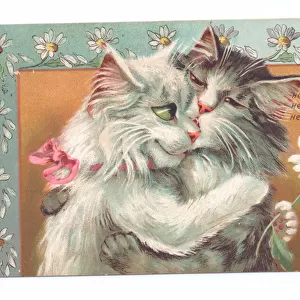 Edwardian postcard of two cats hugging each other, c. 1910 (colour litho)