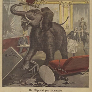 An elephant on the rampage in a Toulouse cafe (colour litho)