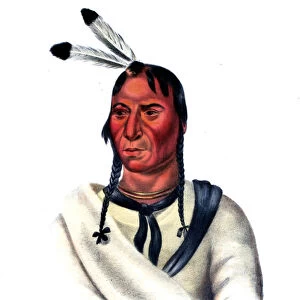 Eshtahumbah (Sleepy Eyes), a Sioux Chief