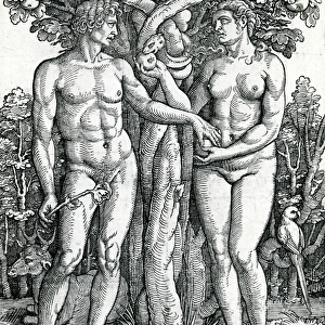 The Fall of Adam and Eve, c. 1525-27 (woodcut)