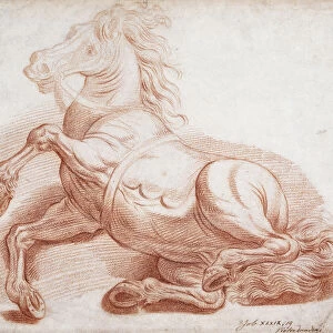 A Fallen Horse, (red chalk)