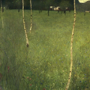 Farmhouse with Birch Trees, 1900 (oil on canvas)