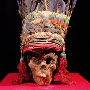 Feathered headdress on a skull, from Peru (feather)