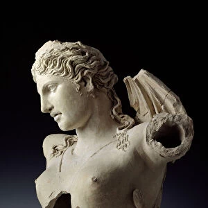 Female Bust (clay)